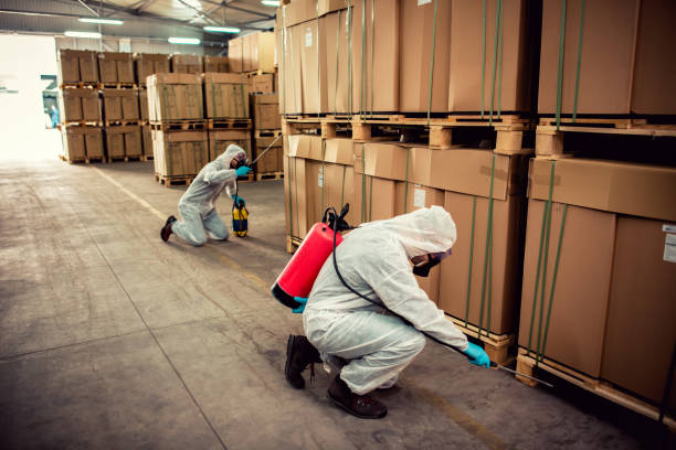 Best Residential Pest Control  in Alva, OK
