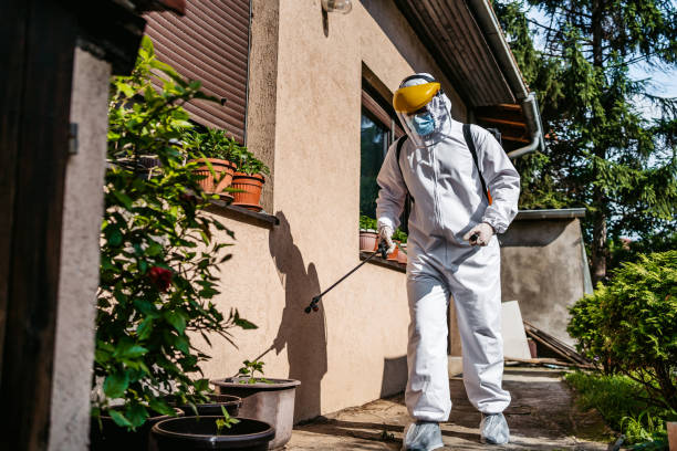 Best Best Pest Control Companies  in Alva, OK