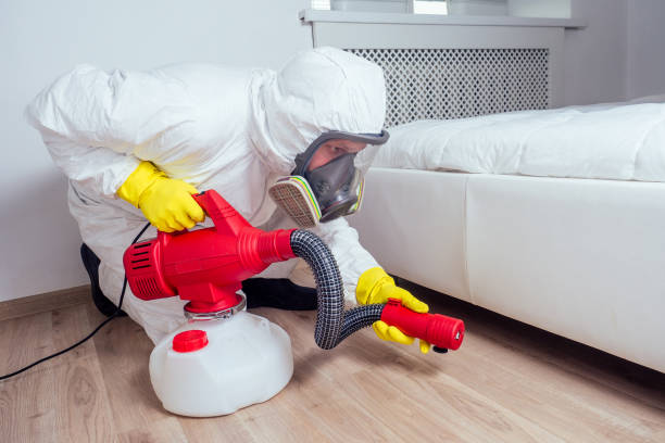 Best Flea Control Services  in Alva, OK
