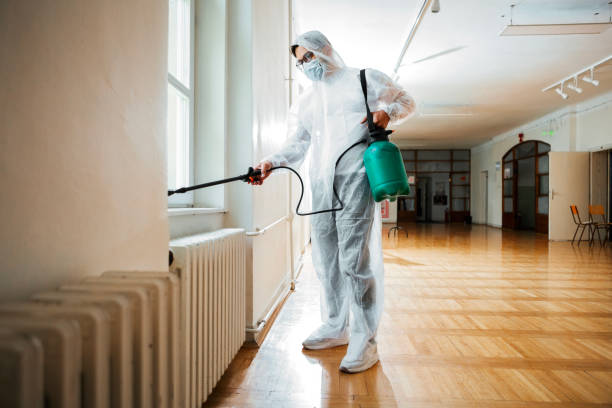 Best Pest Prevention Services  in Alva, OK
